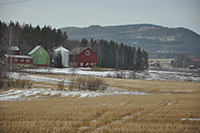 Röste.nu – Röstebilder – Uppröjning på Kalvberget 2012 efter stormen Dagmar 2011