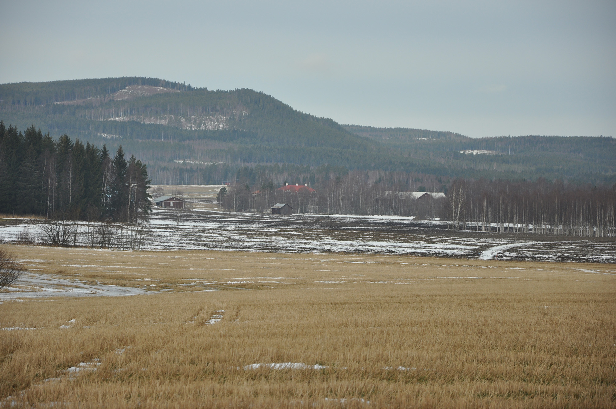 Röste.nu – Röstebilder – Uppröjning på Kalvberget efter stormen Dagmar 2011