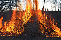 Röste.nu – Röstebilder – Valborgsfirande vid Dönjegården 2026