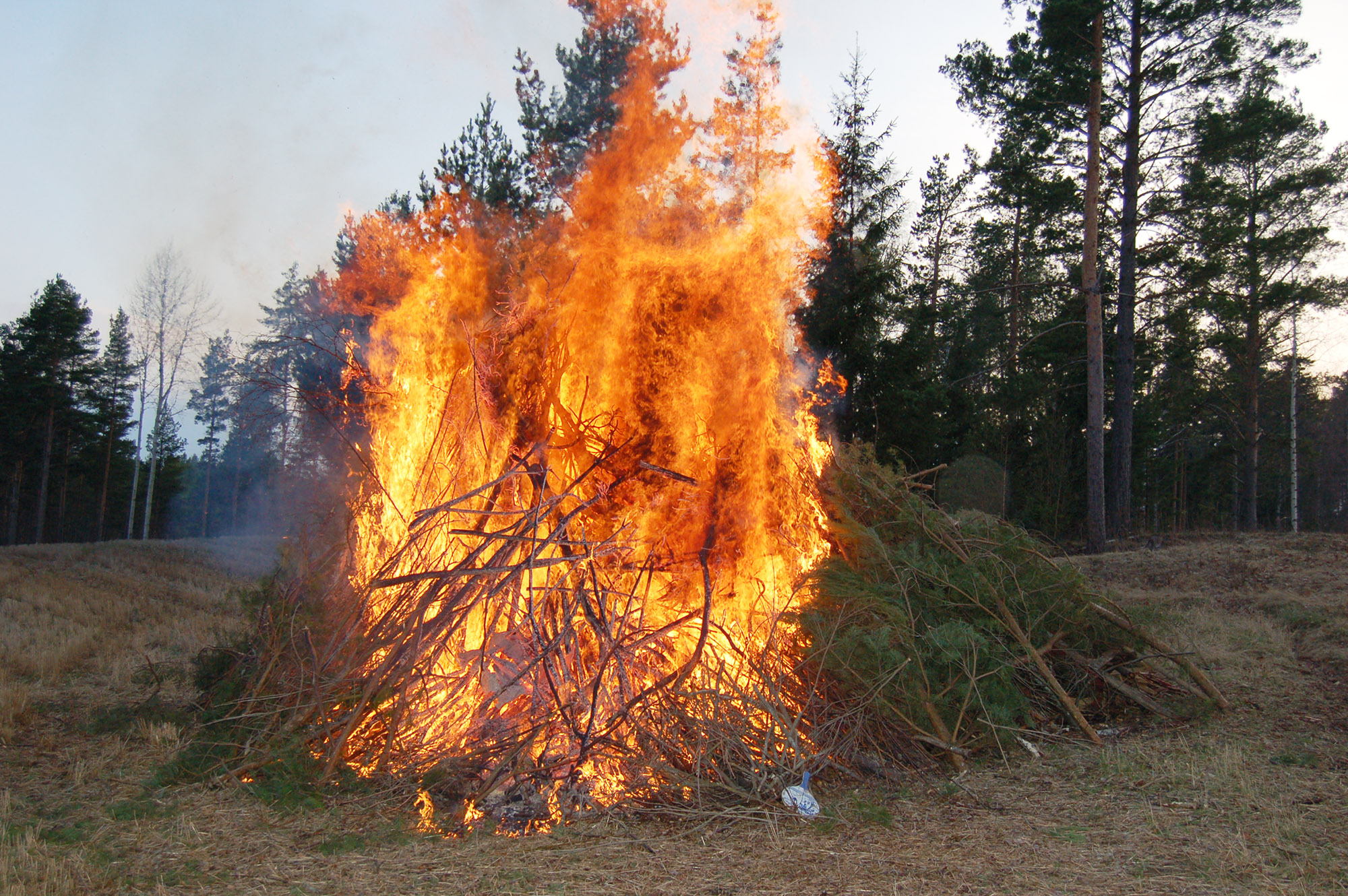 Röste.nu – Röstebilder – Våren hälsades välkommen vid Dönjegården 2008
