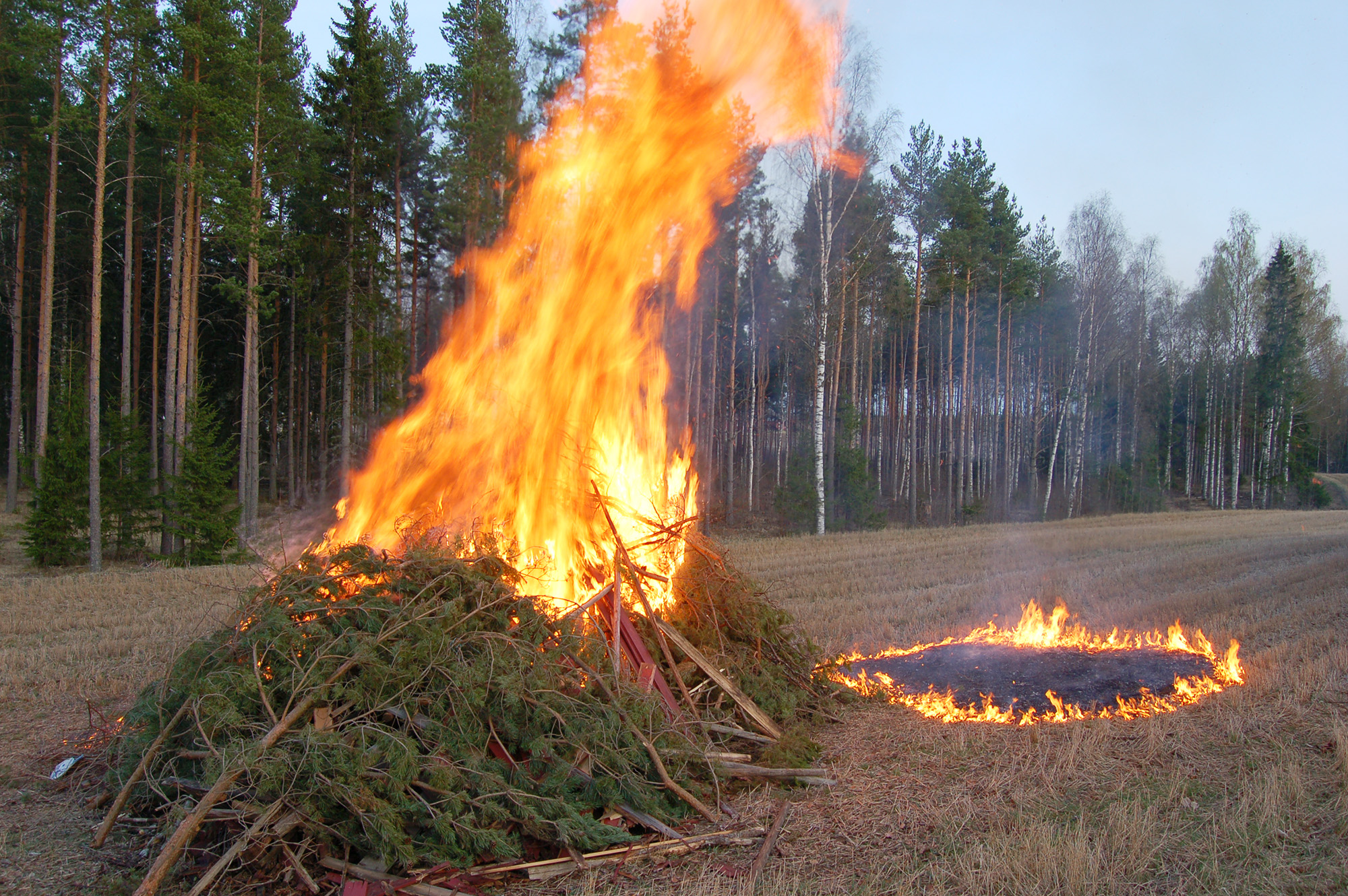Röste.nu – Röstebilder – Våren hälsades välkommen vid Dönjegården 2008