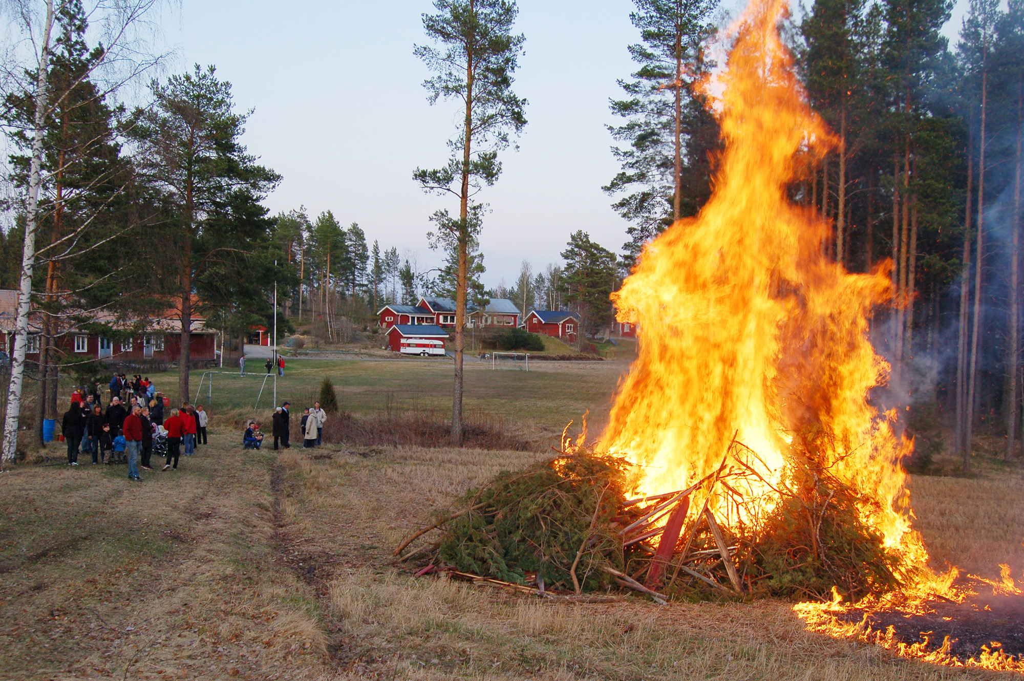 Röste.nu – Röstebilder – Våren hälsades välkommen vid Dönjegården 2008