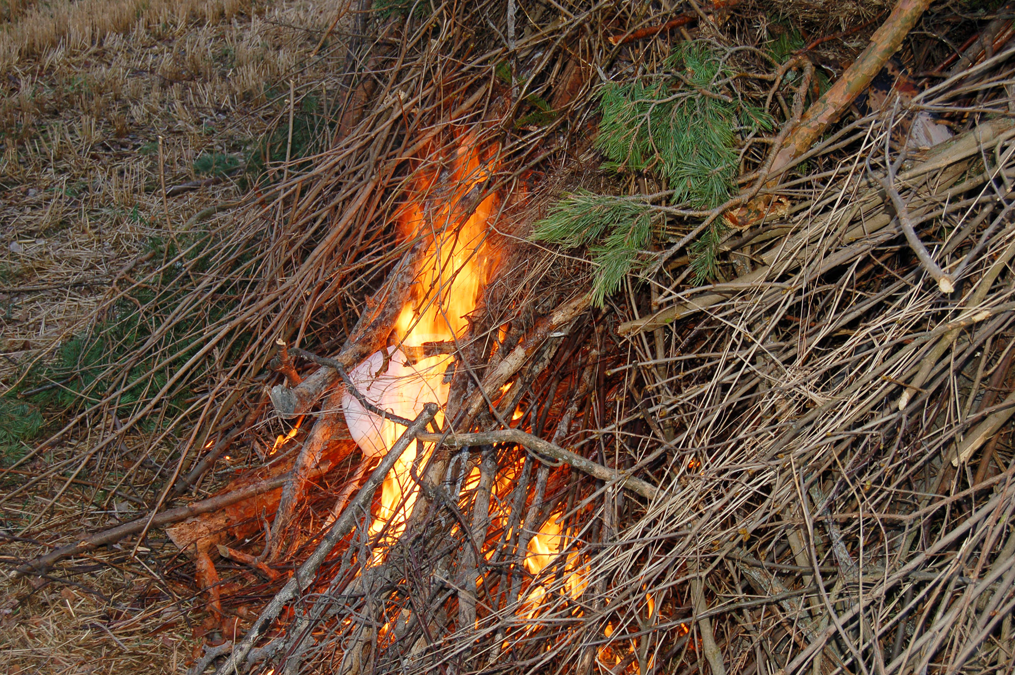 Röste.nu – Röstebilder – Våren hälsades välkommen vid Dönjegården 2008