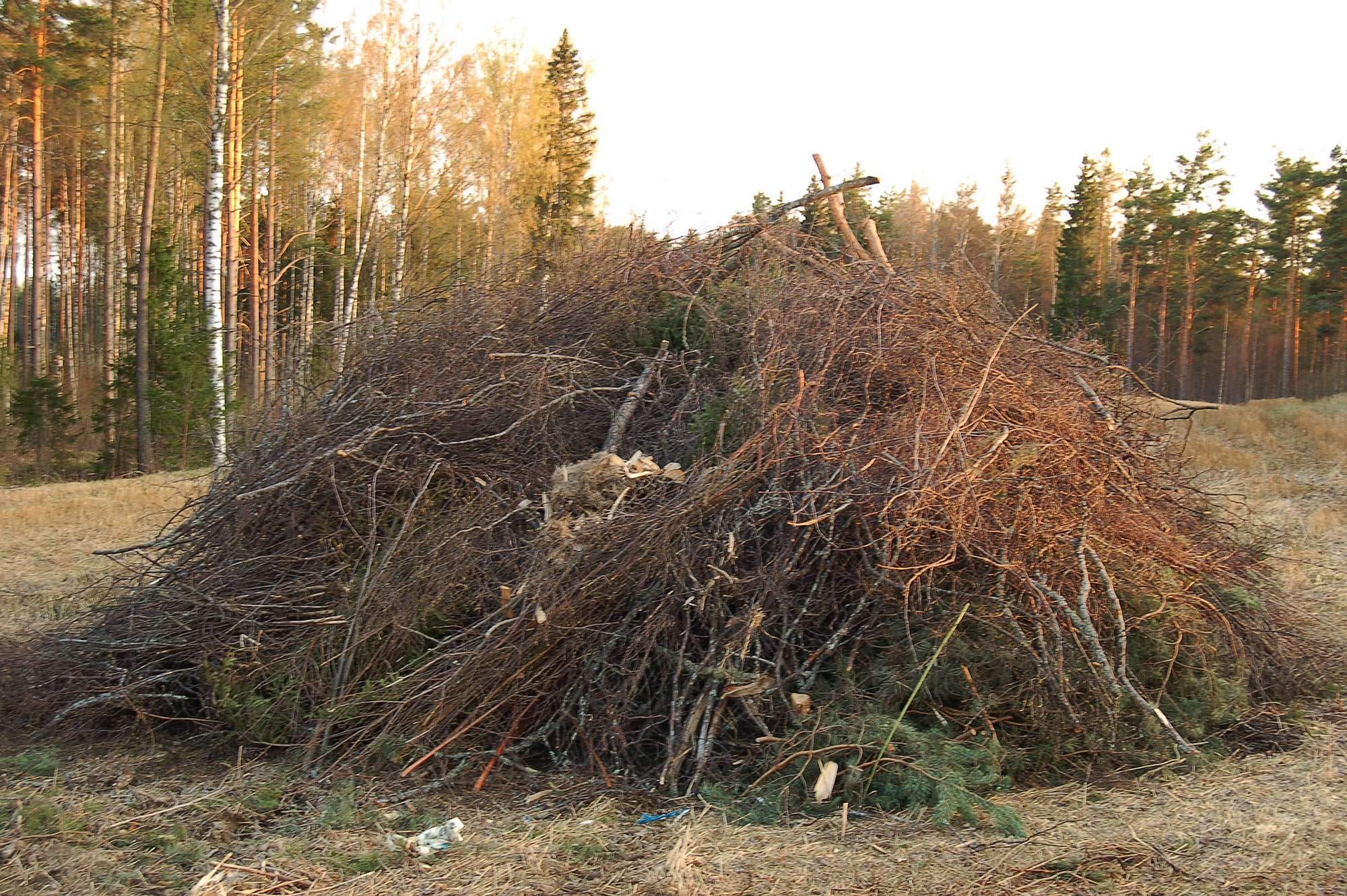 Röste.nu – Röstebilder – Valborgsfirandet vid Dönjegården 2009