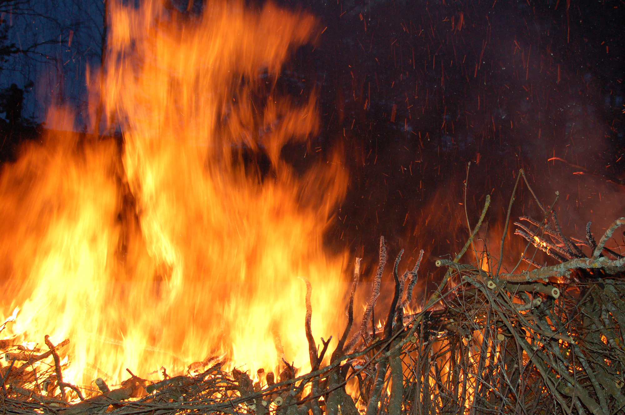 Röste.nu – Röstebilder – Valborg vid Dönjegården 2010