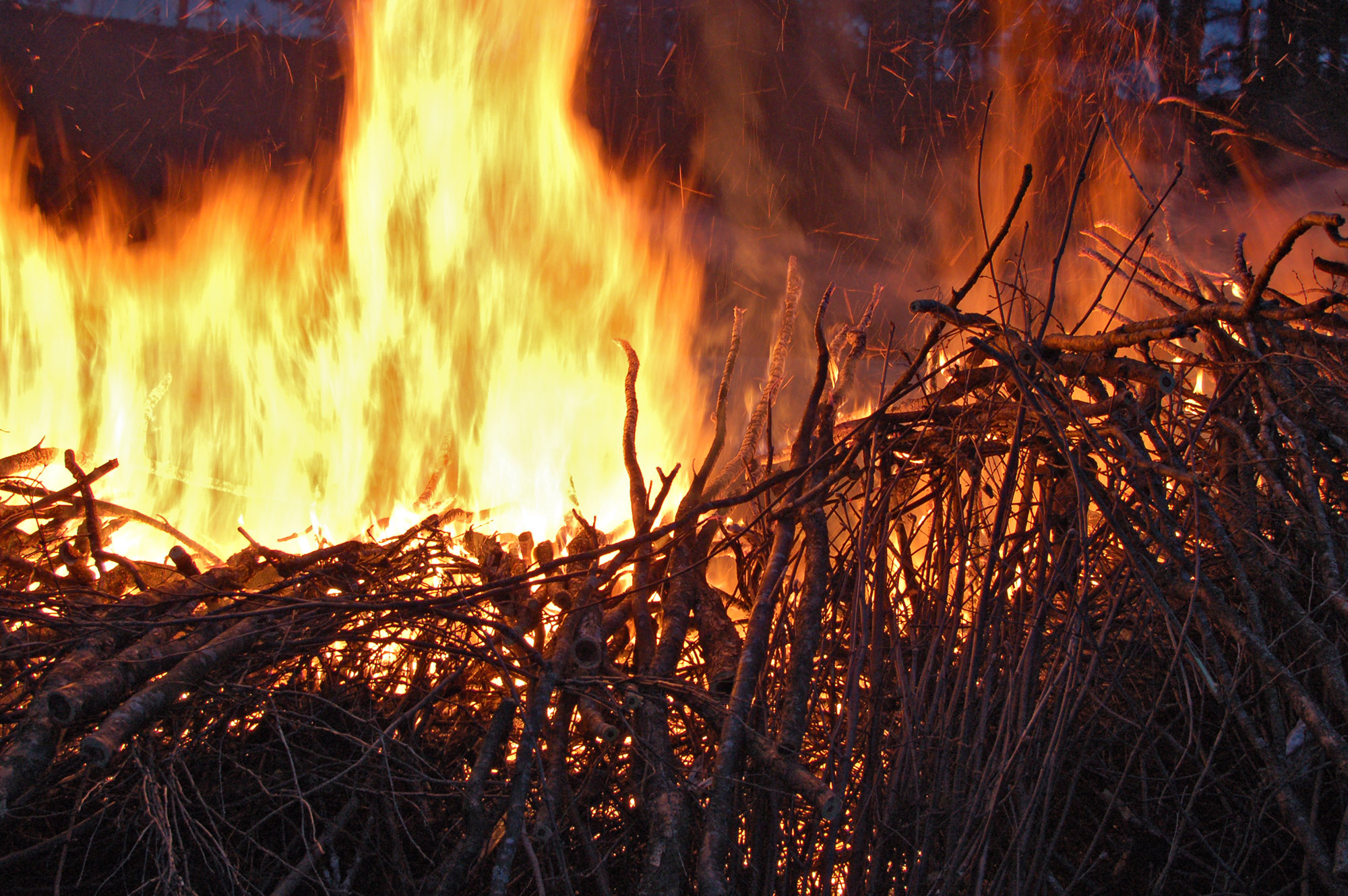 Röste.nu – Röstebilder – Valborg vid Dönjegården 2010