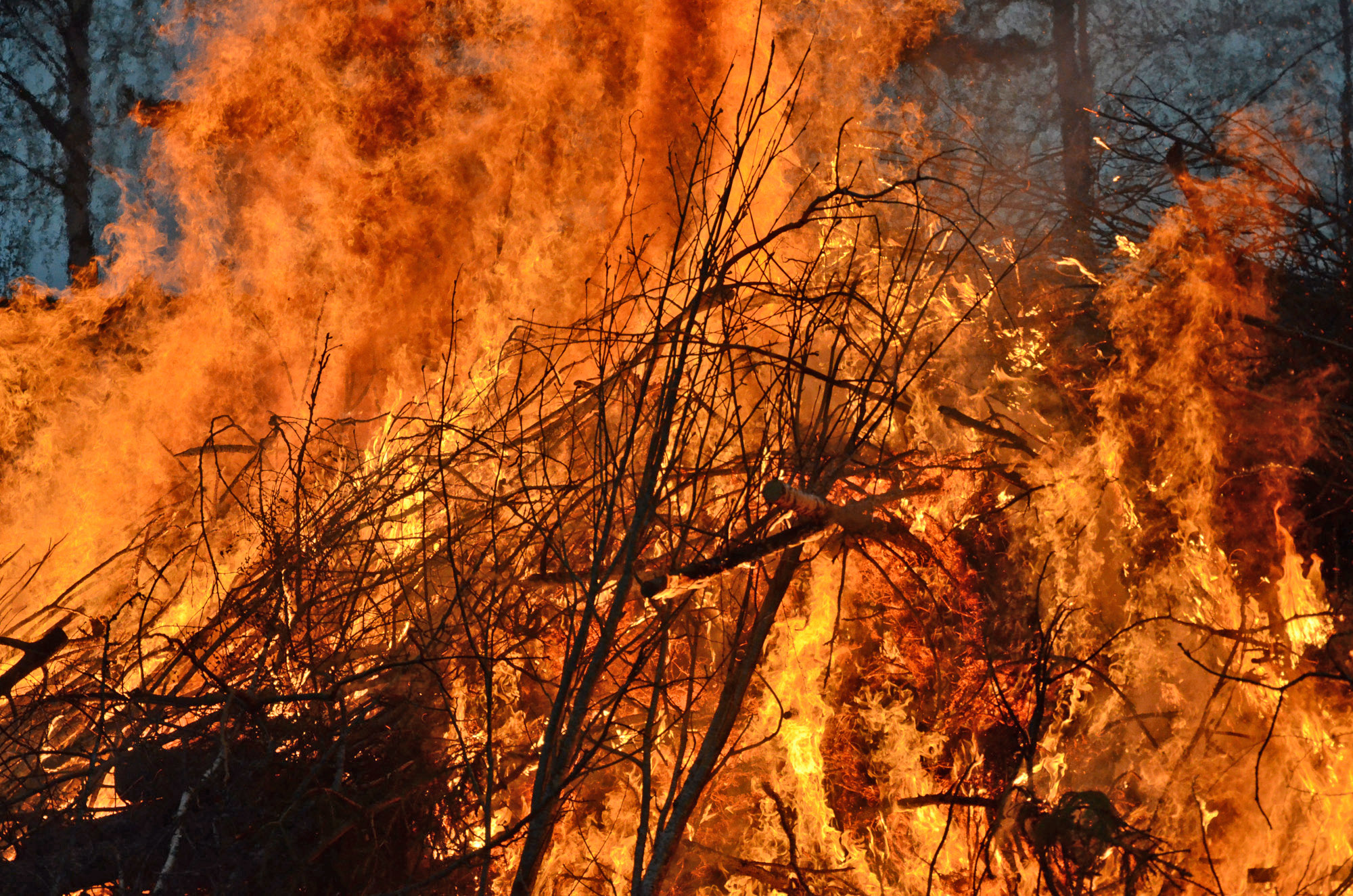 Röste.nu – Röstebilder – Valborgsfirande vid Dönjegården 2014