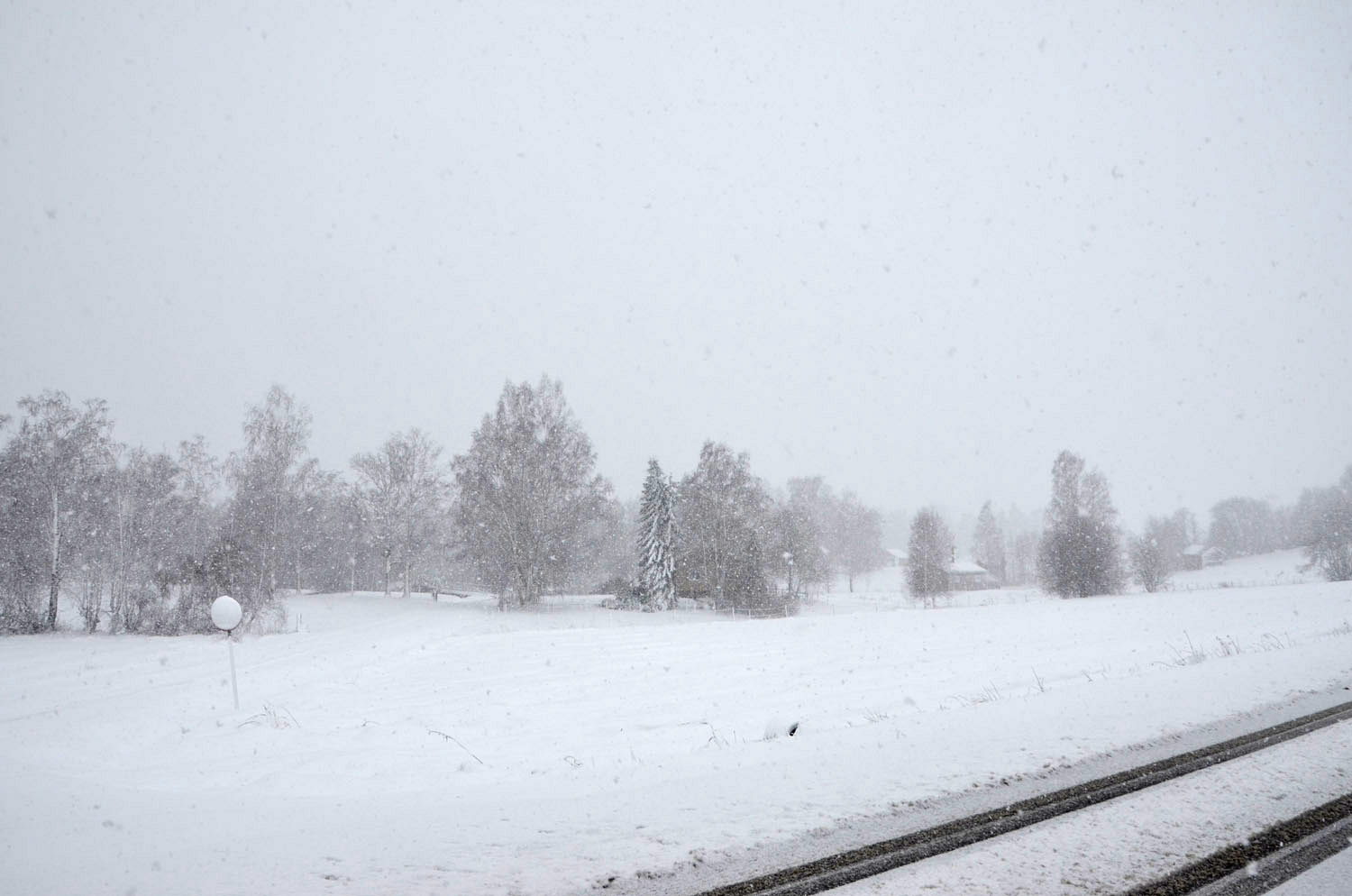 Röste.nu – Röstebilder – Valborgsfirande vid Dönjegården 2017