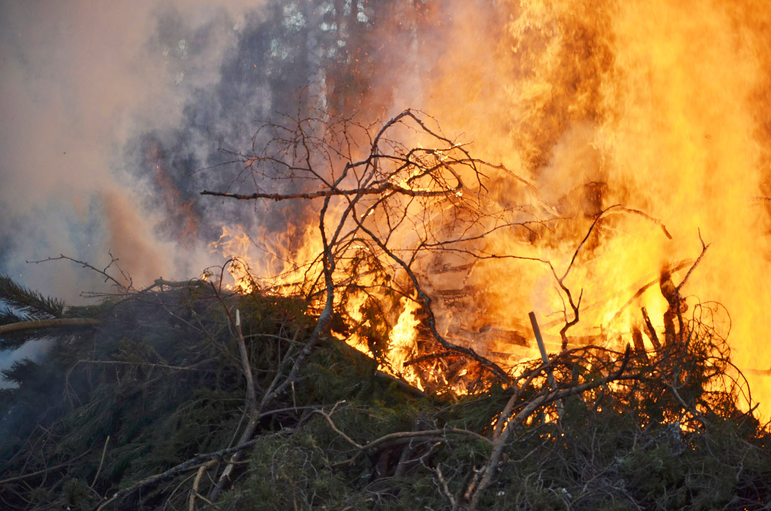 Röste.nu – Röstebilder – Valborgsfirande vid Dönjegården 2017