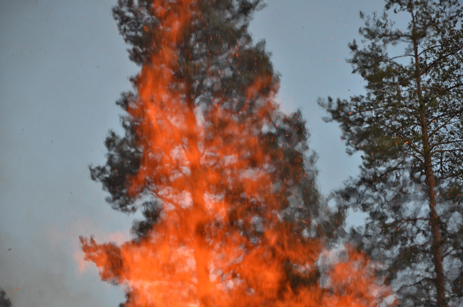 Röste.nu – Röstebilder – Valborgsfirande vid Dönjegården 2017
