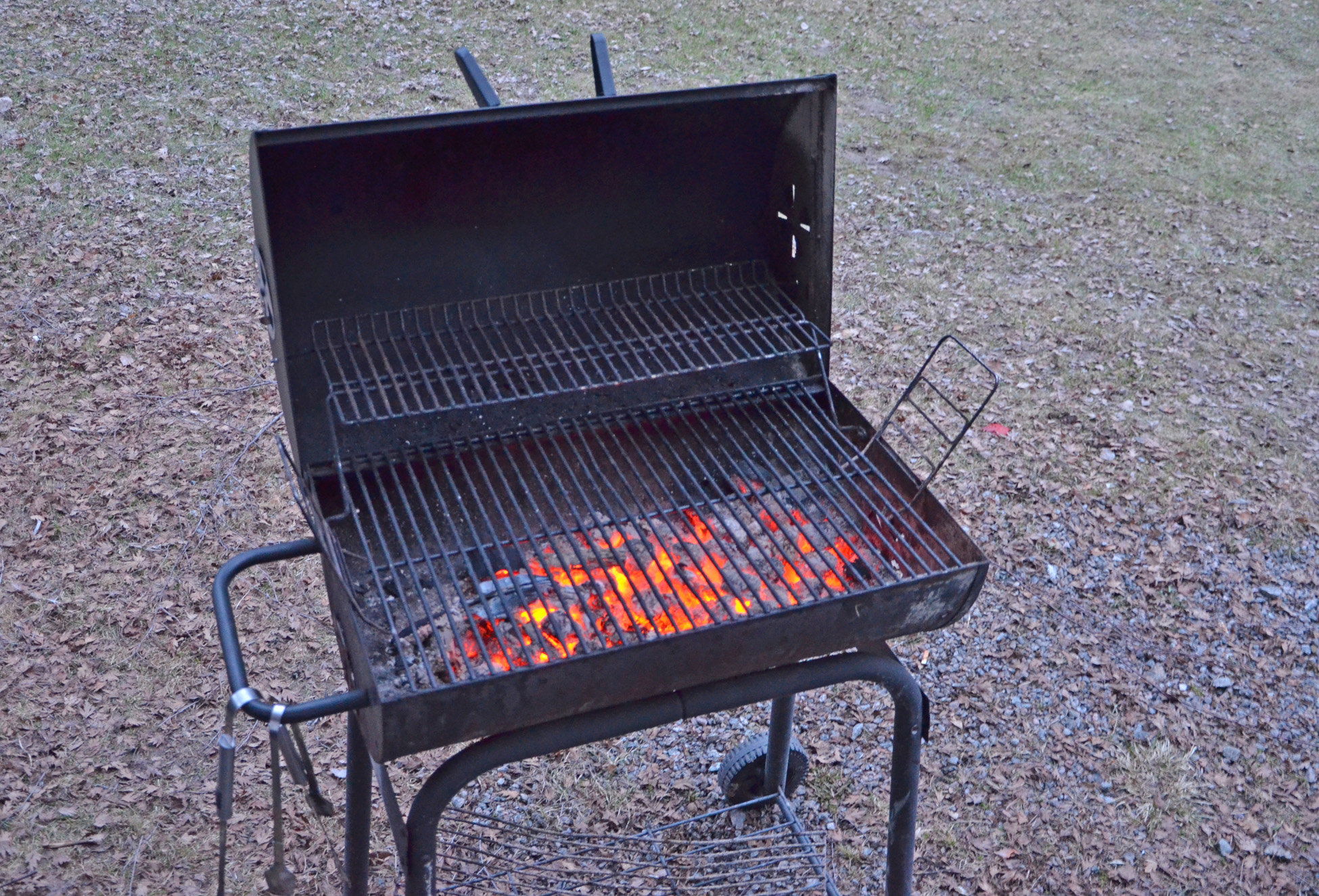 Röste.nu – Röstebilder – Valborgsfirande vid Dönjegården 2018