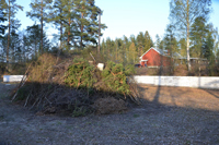 Röste.nu – Röstebilder – Valborgsfirande vid Dönjegården 2019