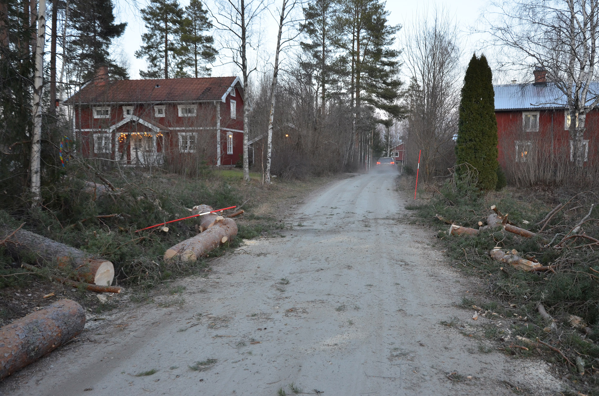 Röste.nu – Så drabbades Röste av stormen Johannes 2025