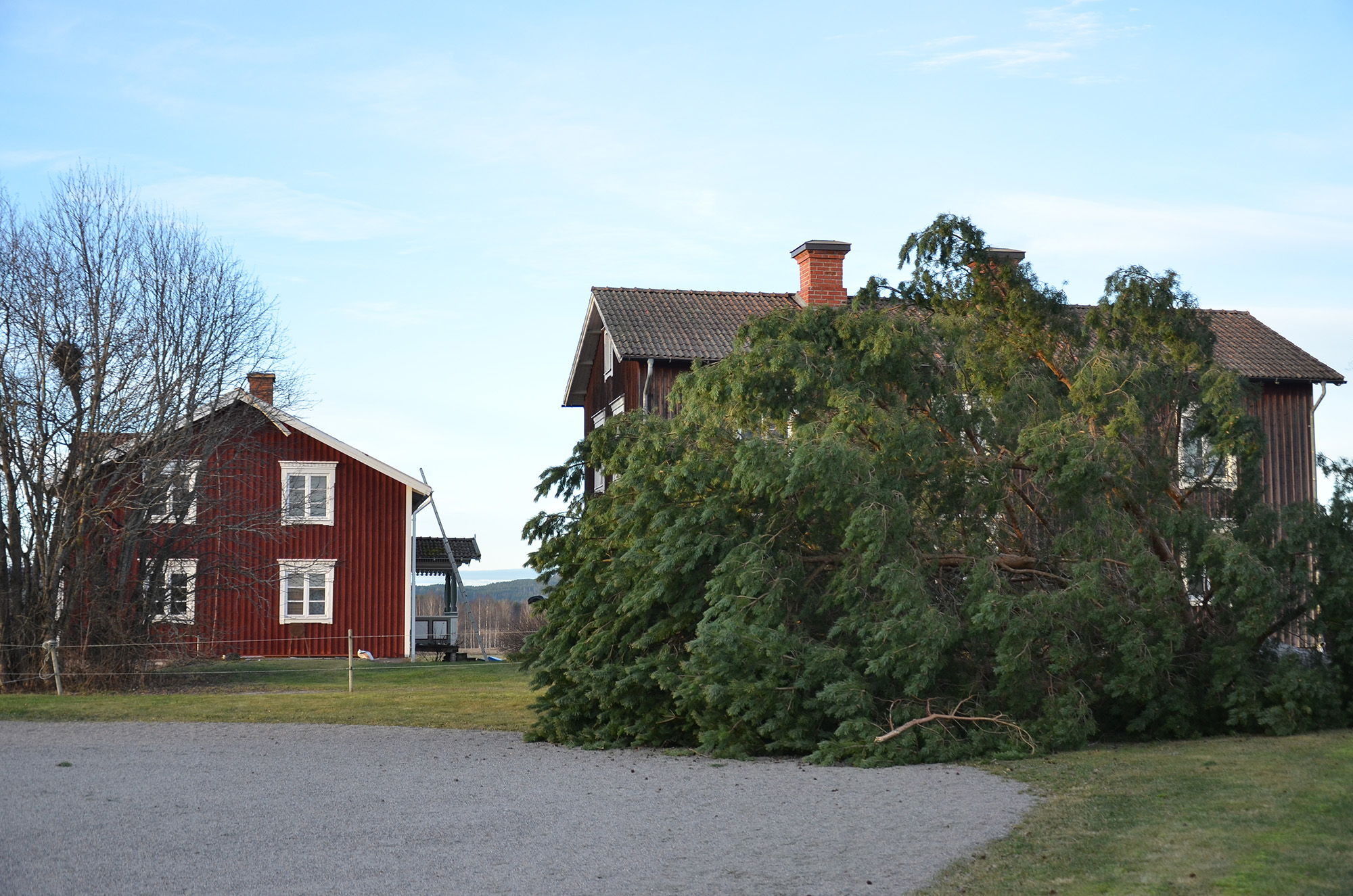 Röste.nu – Så drabbades Röste av stormen Johannes 2025