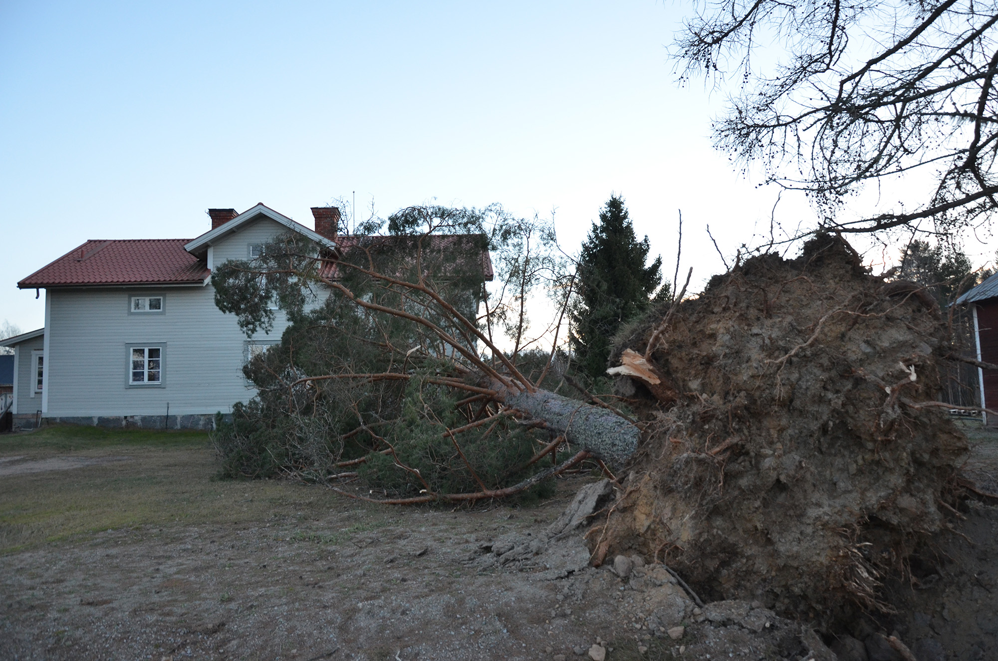 Röste.nu – Så drabbades Röste av stormen Johannes 2025
