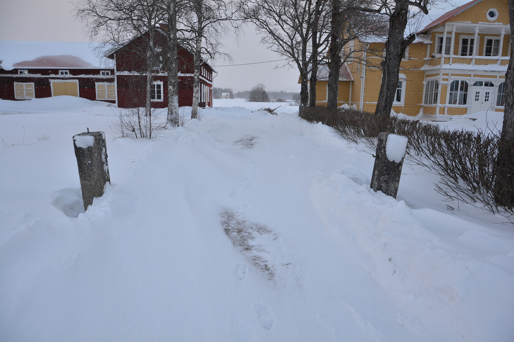 Röste.nu – Vintern kom med snöstormen Anna 2026