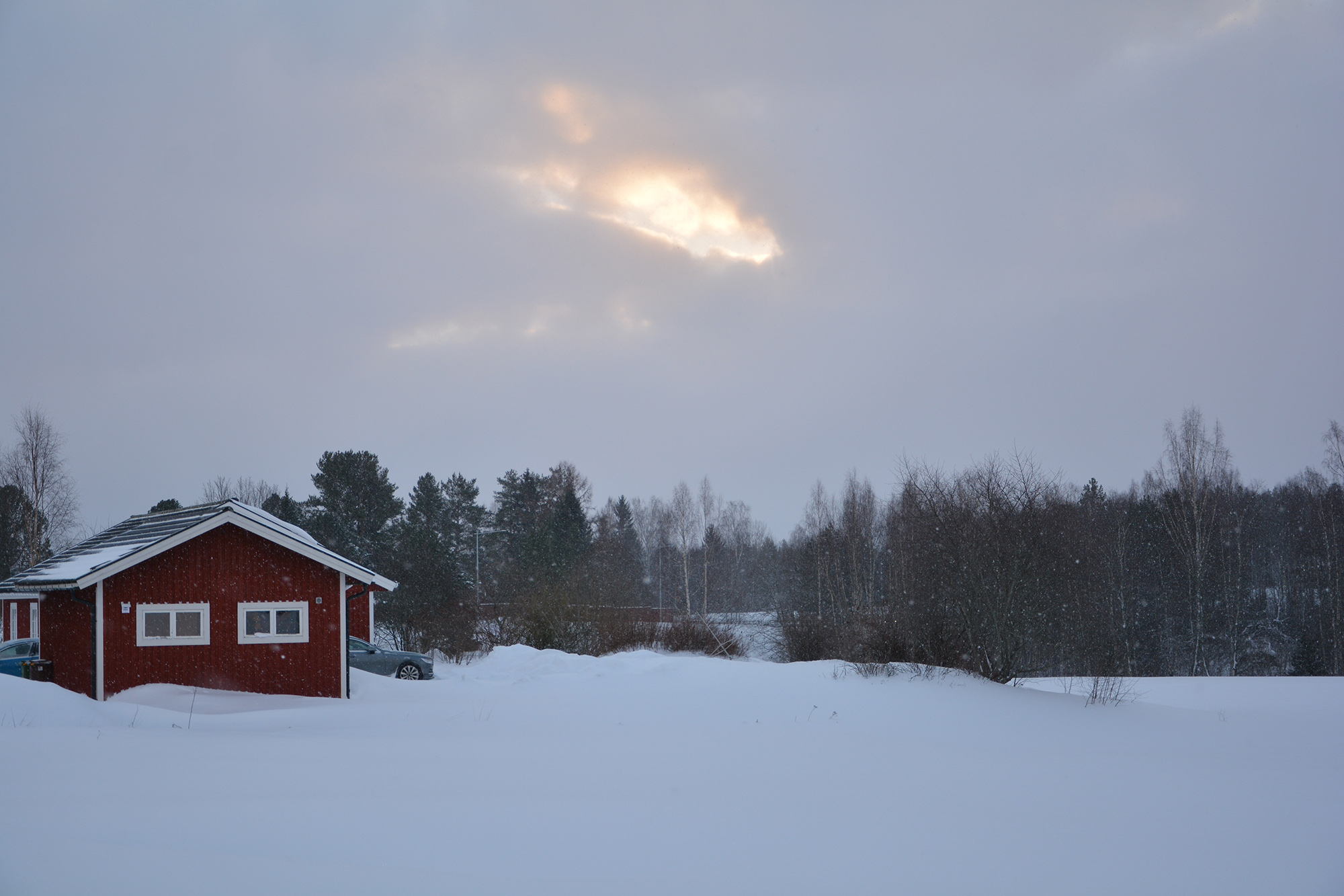 Röste.nu – Vintern kom med snöstormen Anna 2026