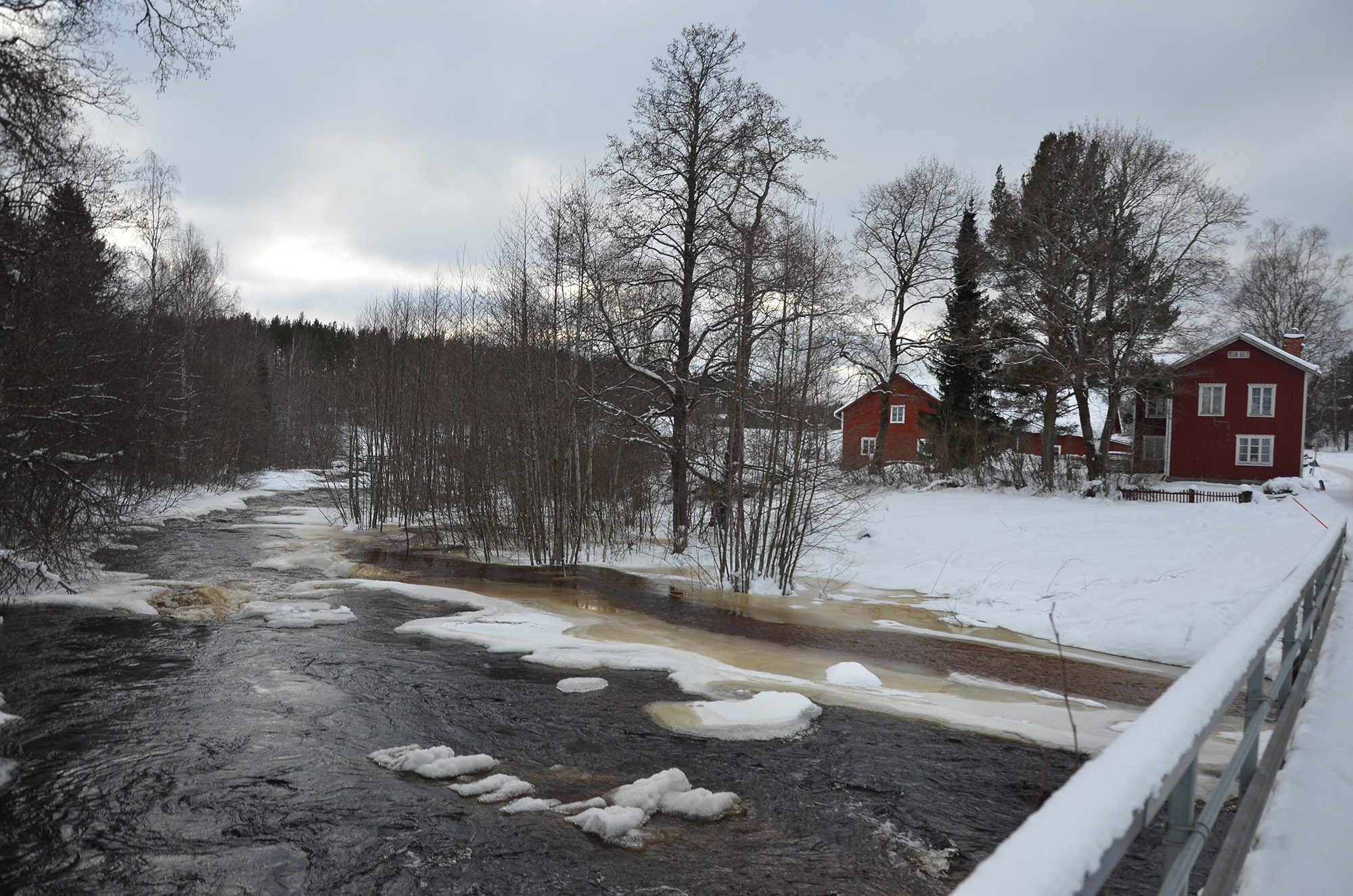 Röste.nu – Vinter vid Galvån 2026