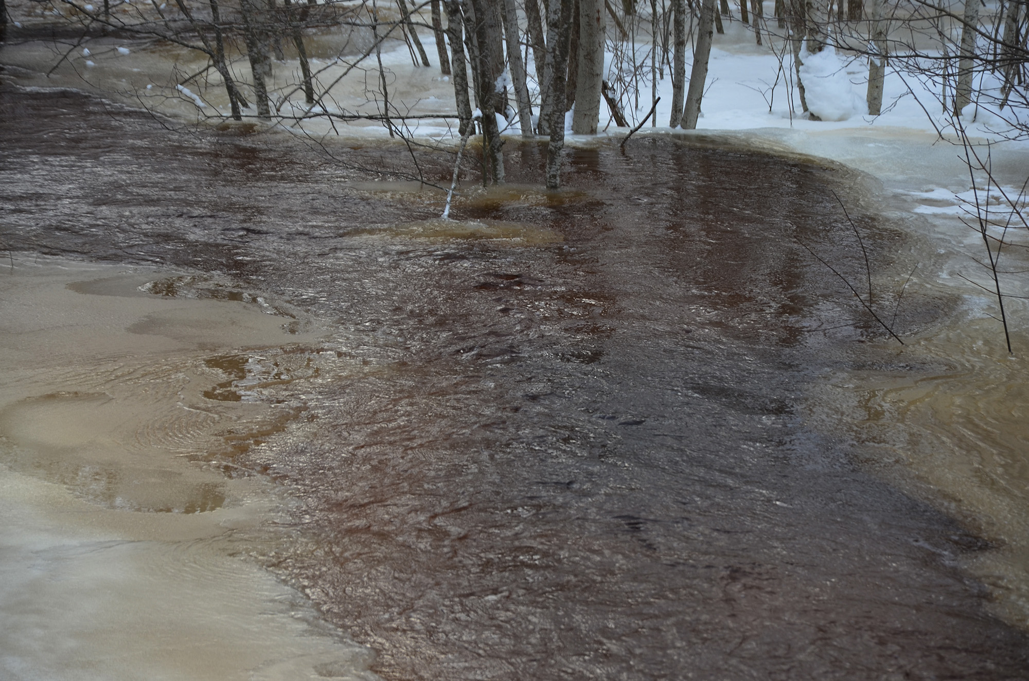 Röste.nu – Vinter vid Galvån 2026