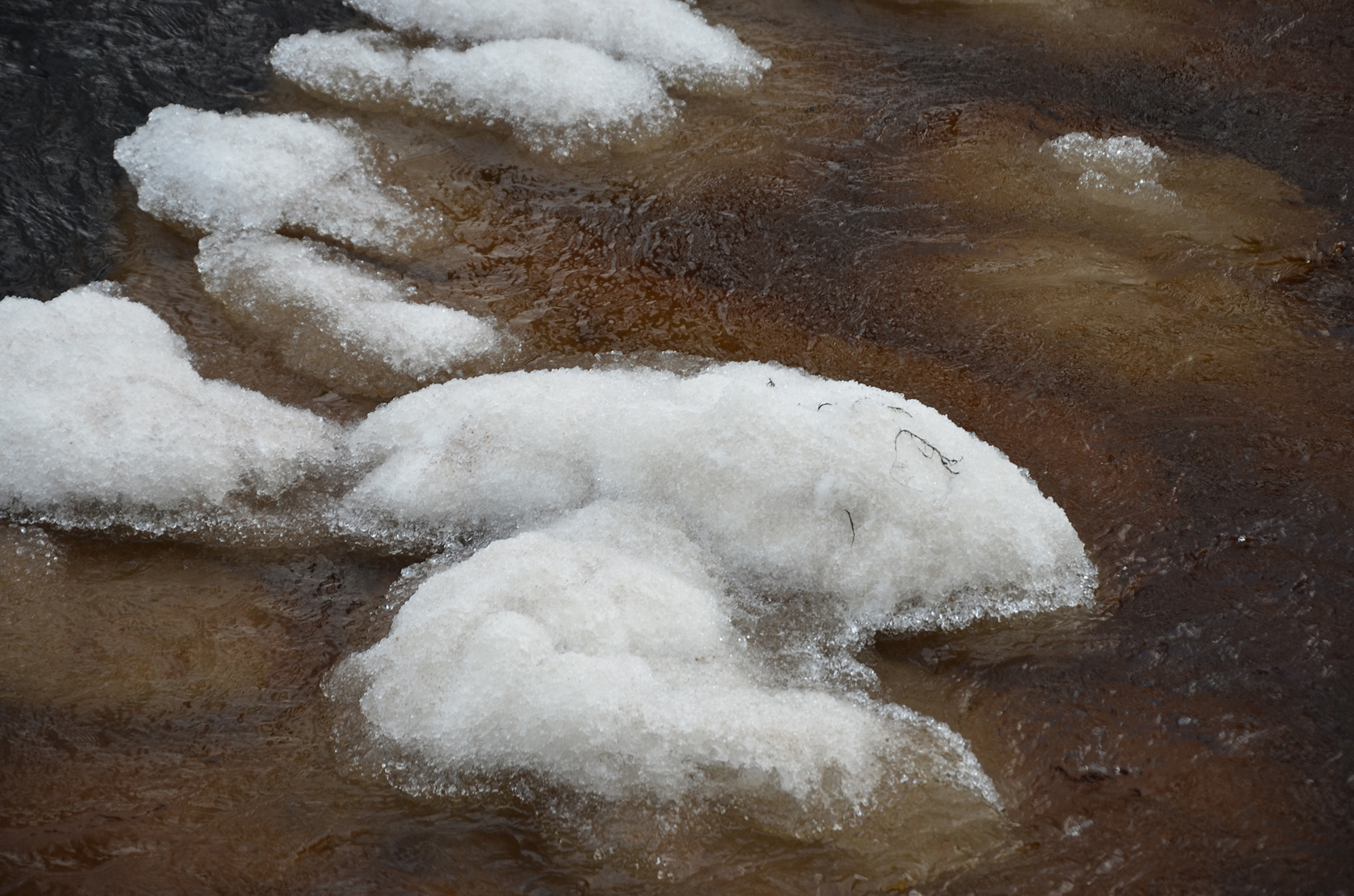 Röste.nu – Vinter vid Galvån 2026